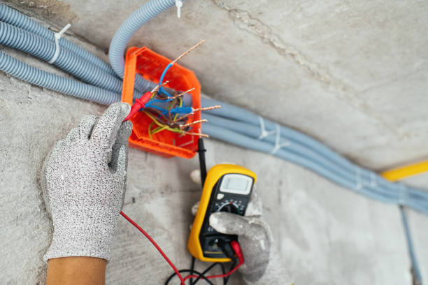 Best Affordable Electrician  in Sheldon, IA